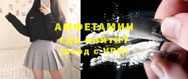 спиды Ельня
