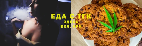 спиды Ельня