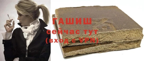 спиды Ельня