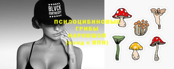 крисы Покровск