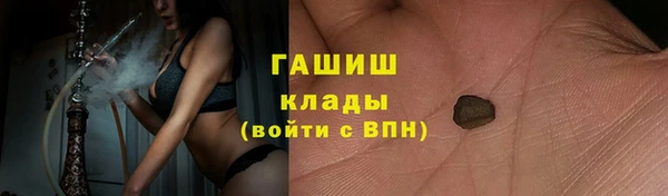 спиды Ельня