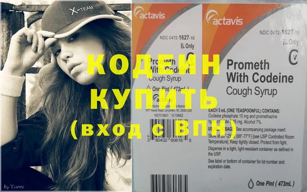 спиды Ельня