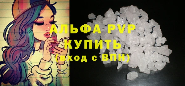 спиды Ельня