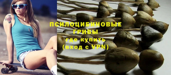 спиды Ельня