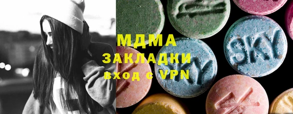 спиды Ельня