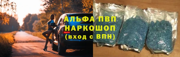 спиды Ельня